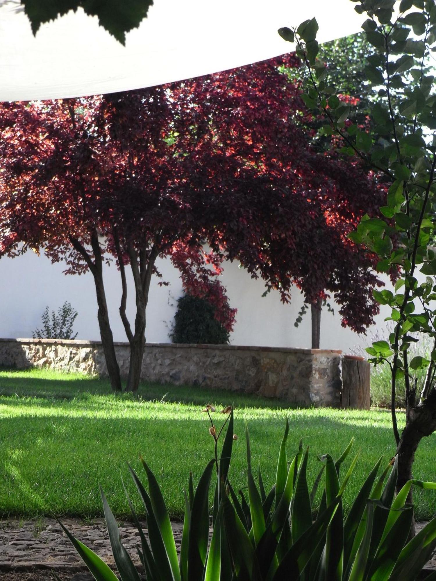 مدريديخوس Casa Rural La Alameda المظهر الخارجي الصورة