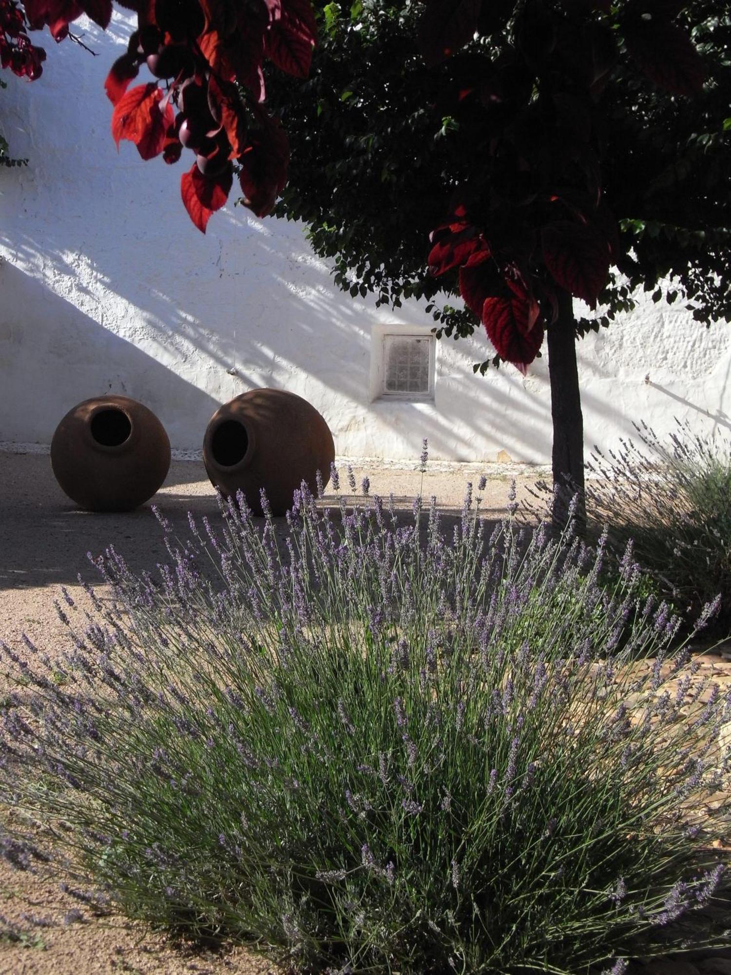 مدريديخوس Casa Rural La Alameda المظهر الخارجي الصورة
